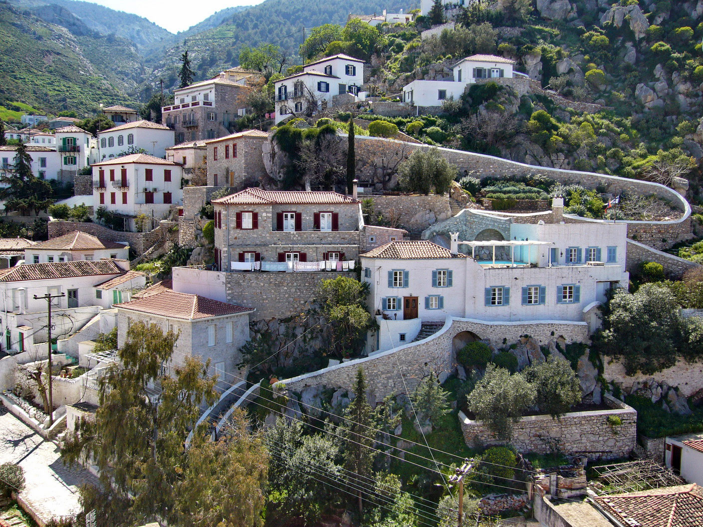 Hydra